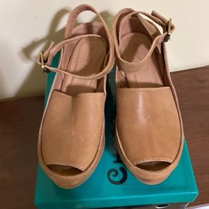 Chocolate Blu Wisper